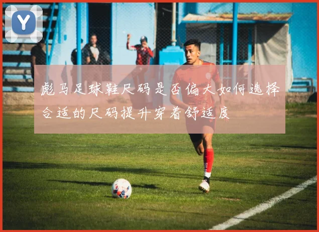 彪马足球鞋尺码是否偏大如何选择合适的尺码提升穿着舒适度