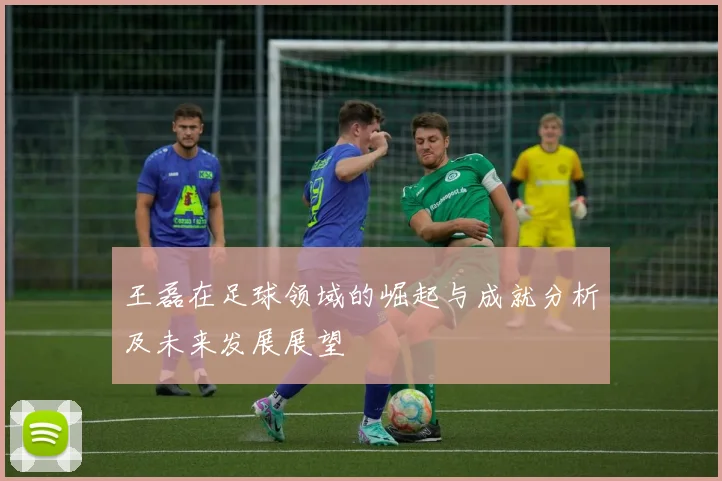 王磊在足球领域的崛起与成就分析及未来发展展望