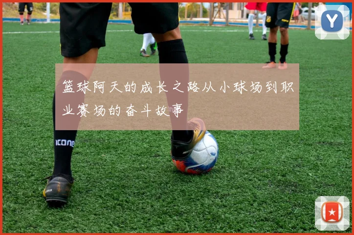 篮球阿天的成长之路从小球场到职业赛场的奋斗故事